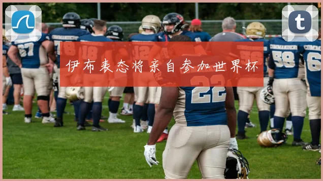 伊布表态将亲自参加世界杯