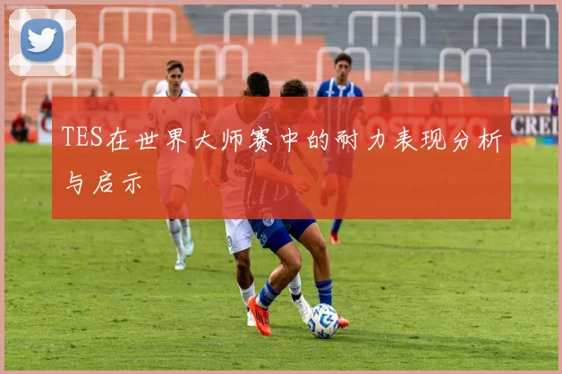TES在世界大师赛中的耐力表现分析与启示