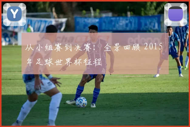 从小组赛到决赛：全景回顾 2015 年足球世界杯征程