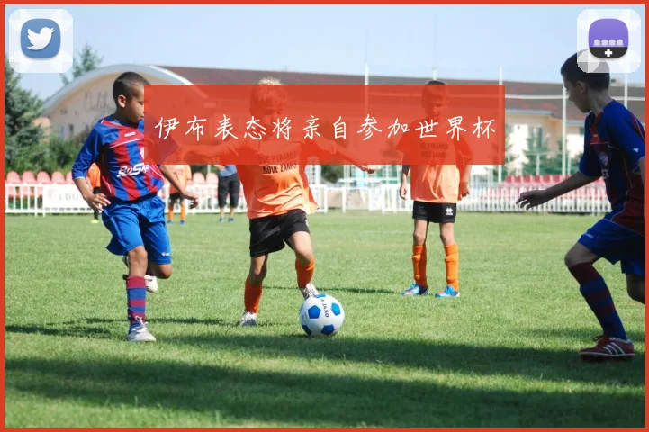 伊布表态将亲自参加世界杯