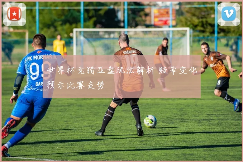 世界杯竞猜亚盘玩法解析 赔率变化预示比赛走势