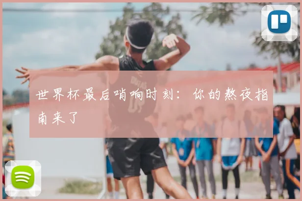 世界杯最后哨响时刻：你的熬夜指南来了