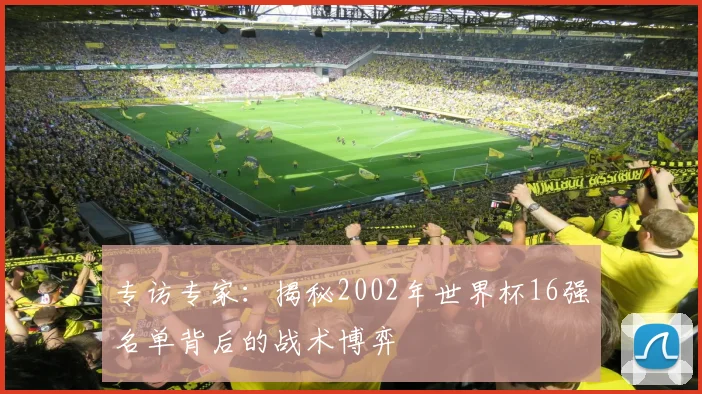 专访专家：揭秘2002年世界杯16强名单背后的战术博弈