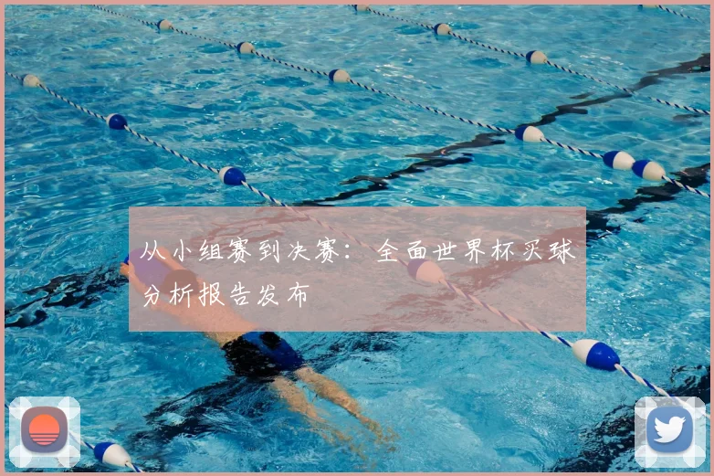 从小组赛到决赛：全面世界杯买球分析报告发布