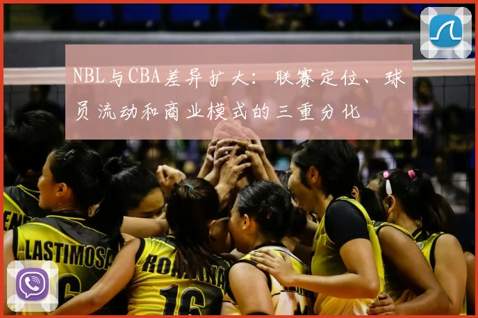 NBL与CBA差异扩大：联赛定位、球员流动和商业模式的三重分化
