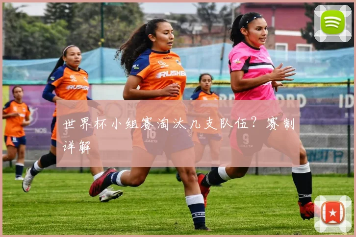 世界杯小组赛淘汰几支队伍？赛制详解