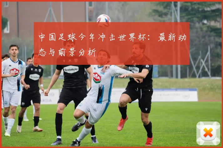 中国足球今年冲击世界杯：最新动态与前景分析