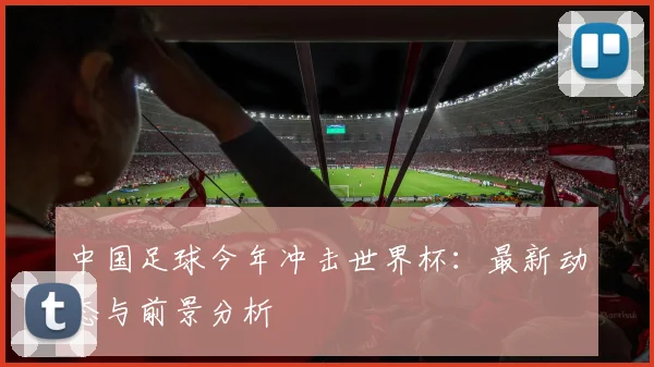 中国足球今年冲击世界杯：最新动态与前景分析
