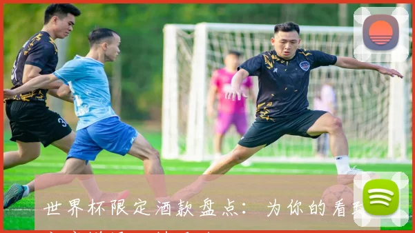 世界杯限定酒款盘点：为你的看球之夜增添独特风味