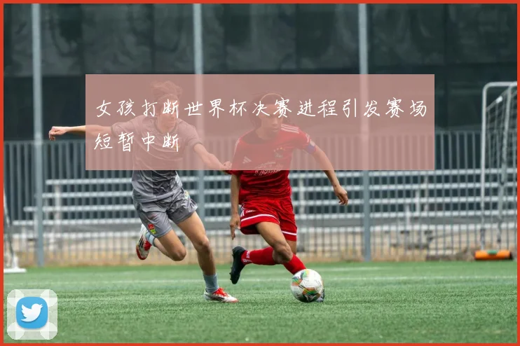 女孩打断世界杯决赛进程引发赛场短暂中断