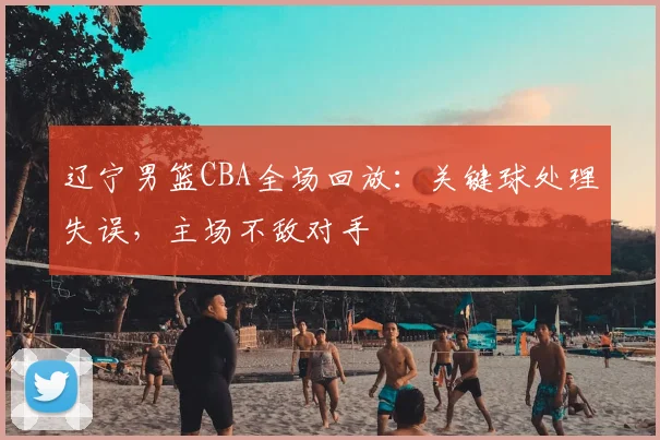 辽宁男篮CBA全场回放：关键球处理失误，主场不敌对手