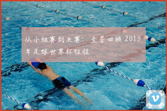 从小组赛到决赛：全景回顾 2015 年足球世界杯征程