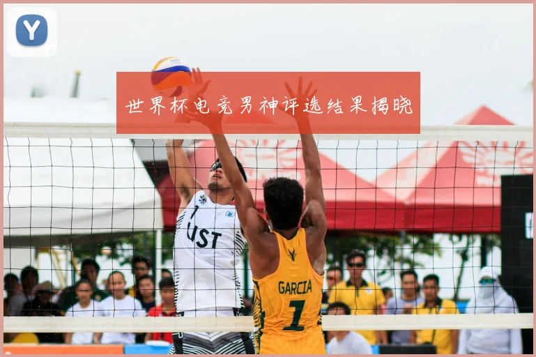 世界杯电竞男神评选结果揭晓