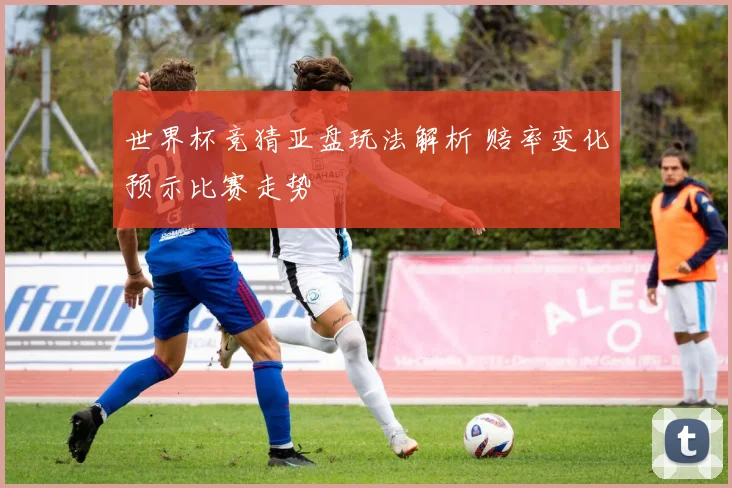 世界杯竞猜亚盘玩法解析 赔率变化预示比赛走势
