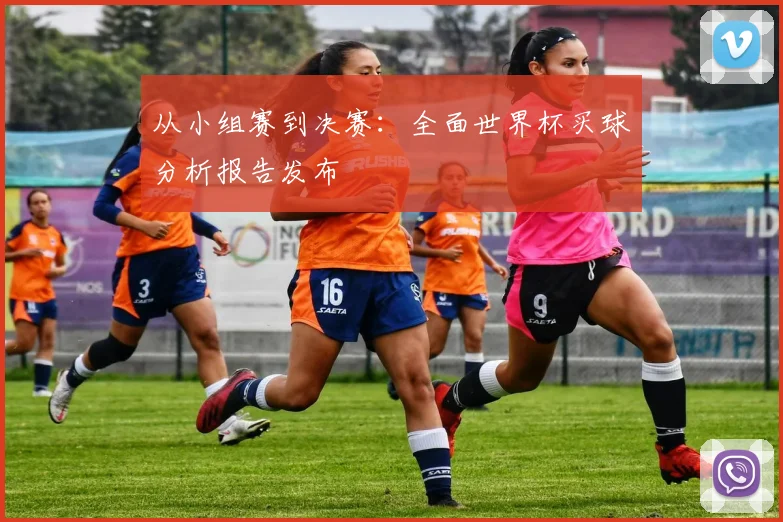从小组赛到决赛：全面世界杯买球分析报告发布