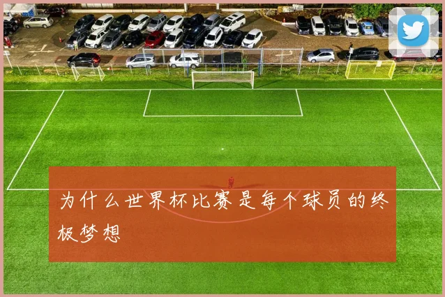 为什么世界杯比赛是每个球员的终极梦想