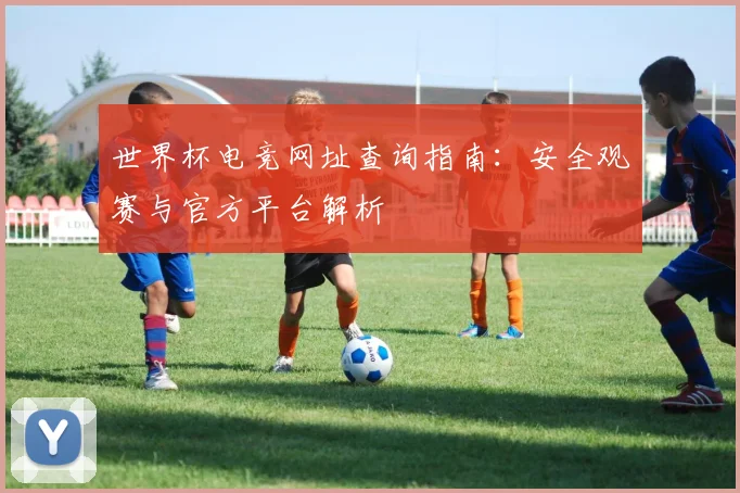 世界杯电竞网址查询指南：安全观赛与官方平台解析