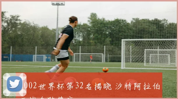 2002世界杯第32名揭晓 沙特阿拉伯三战全败垫底